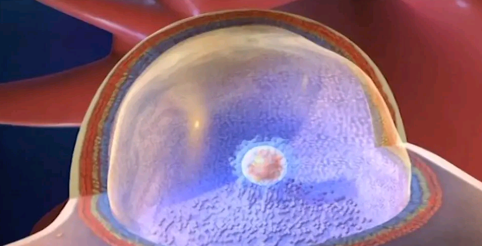 解析试管婴儿双胎妊娠的风险与注意事项