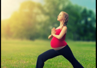 规避风险，美国试管婴儿自助行全攻略