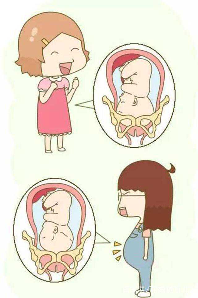 广州试管婴儿助孕的真实情况:揭秘“包成功”是否为骗局