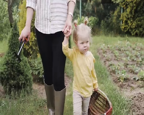 <strong>广州供卵机构选择与福州助孕服务合法性解析</strong>