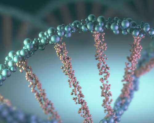 如何甄选正规的助孕机构，避开虚假承诺