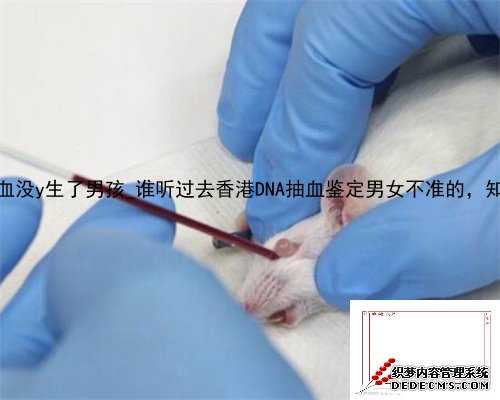 15周香港验血没y生了男孩_谁听过去香港DNA抽血鉴定男女不准的，知道的来说说