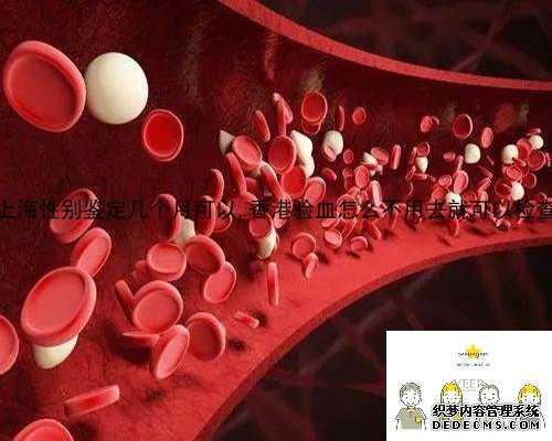 上海性别鉴定几个月可以,香港验血怎么不用去就可以检查