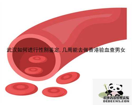 武汉如何进行性别鉴定,几周能去做香港验血查男女