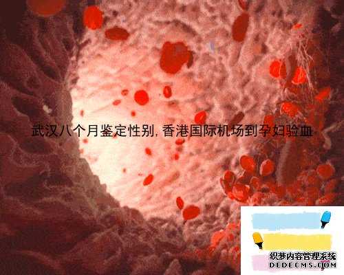 武汉八个月鉴定性别,香港国际机场到孕妇验血